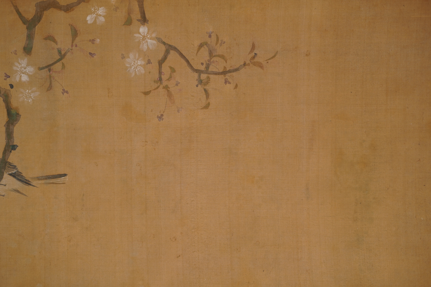 Another view of the cherry blossom branch with bird in the kakemono Songbird on Blossoming Cherry Branch, without mounting
