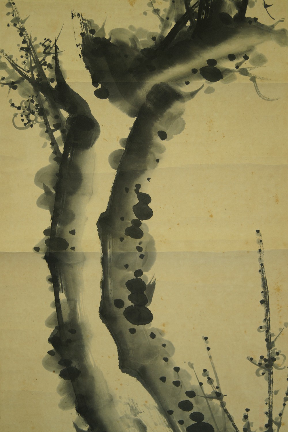 Plum Tree Motif Close-Up 3