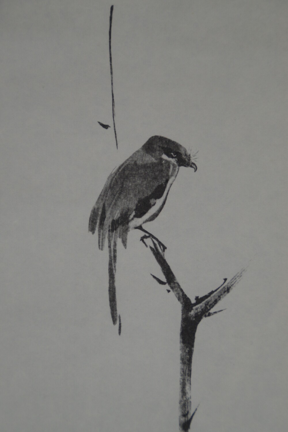 Extreme close-up of the shrike with hooked beak in the shrike scroll of the triptych after Miyamoto Musashi
