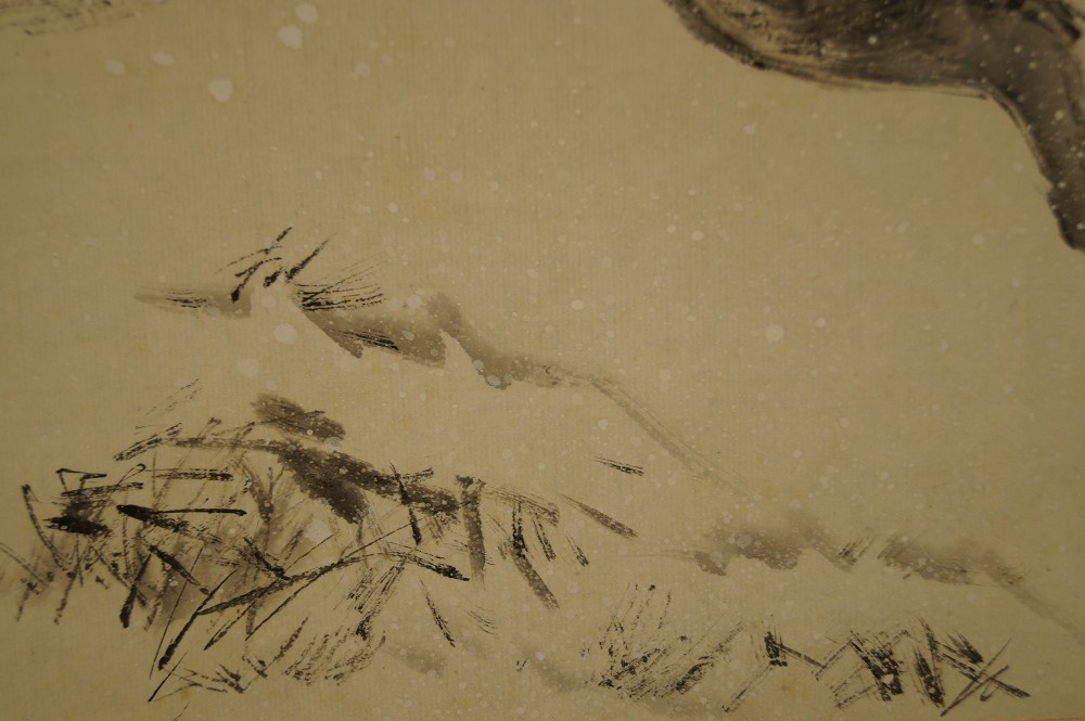 Boar in snow snow close-up