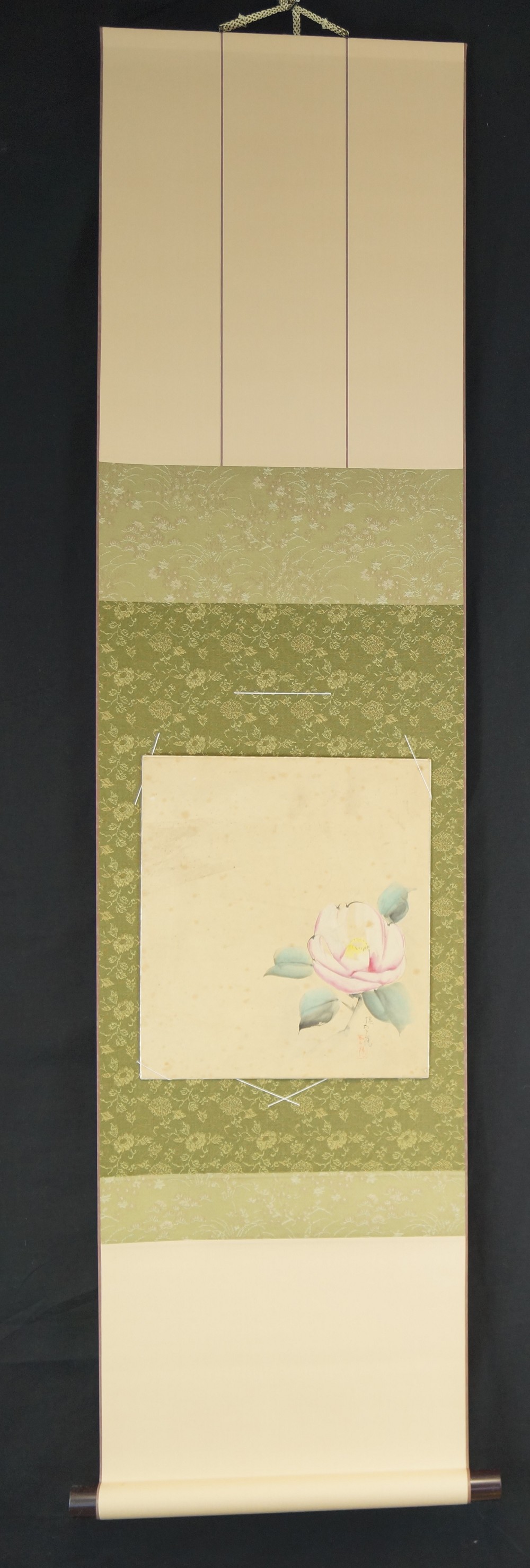 Shikishi Rose Gesamtansicht mit Einfassung