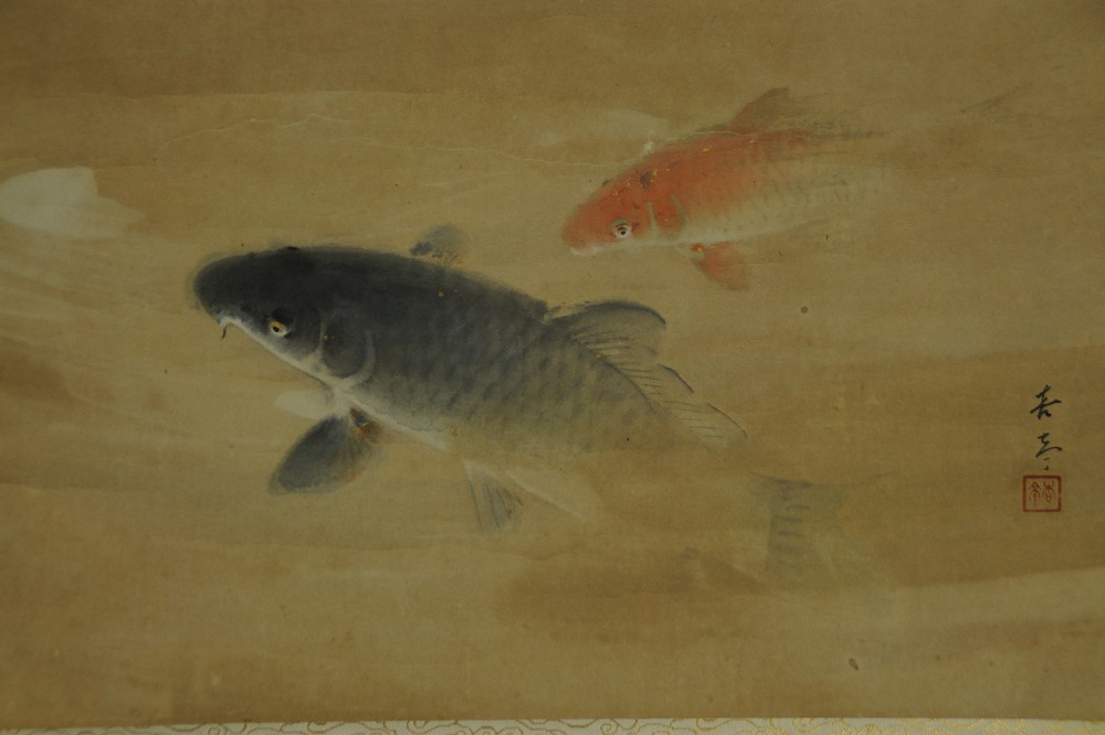 Full motif of the two koi carp in water without mounting