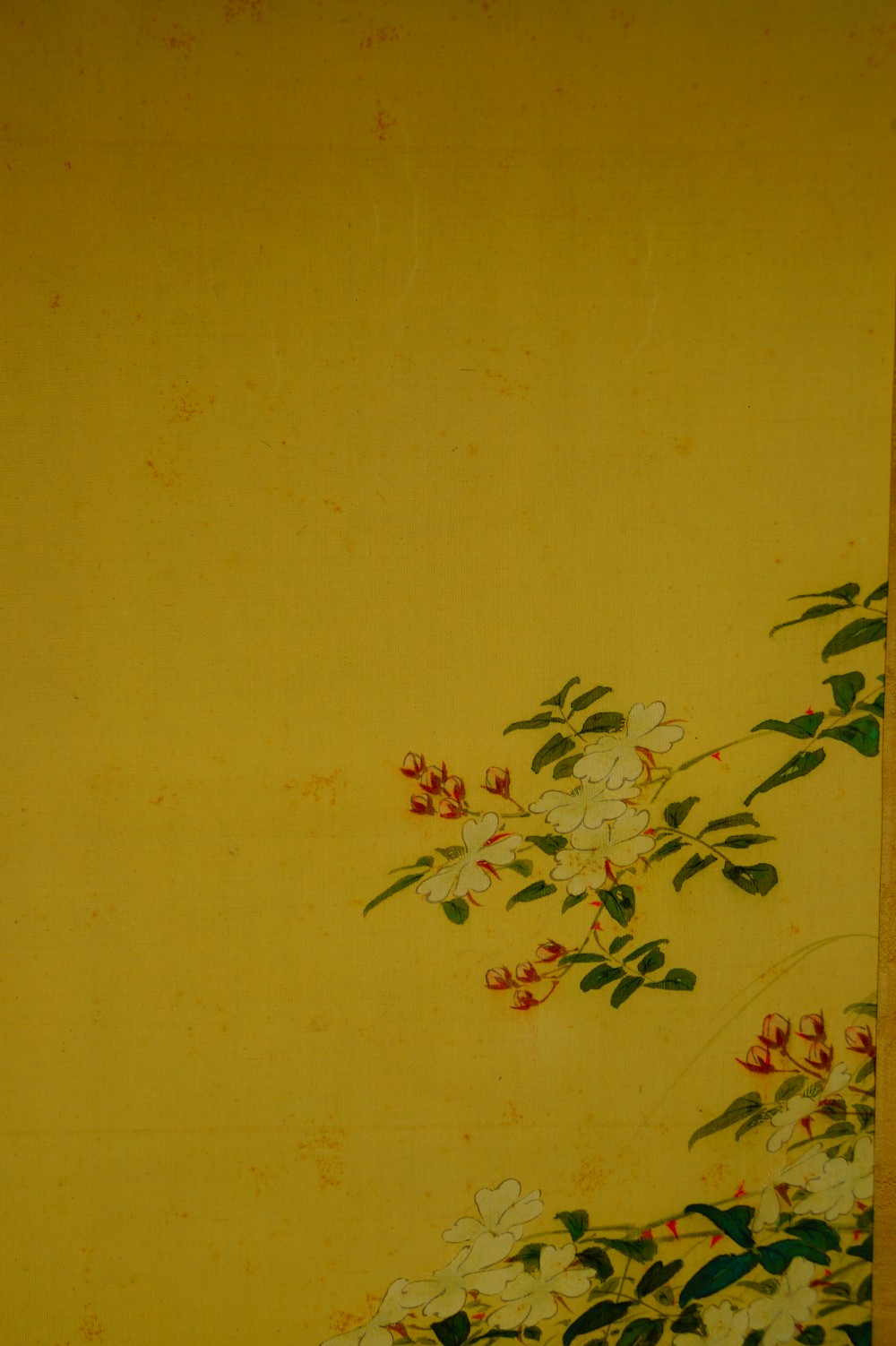 Two Trout in Water Kakemono by Akamatsu Unrei Blossom Motif Close-Up
