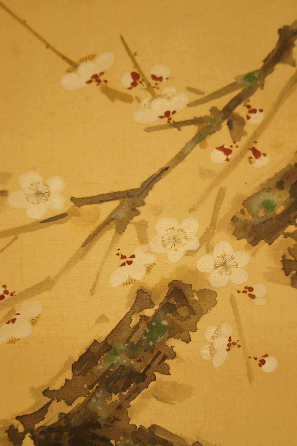 Bird on a Cherry Tree Branch by Yasuyama Tachiwaki Plum Blossom Close-Up