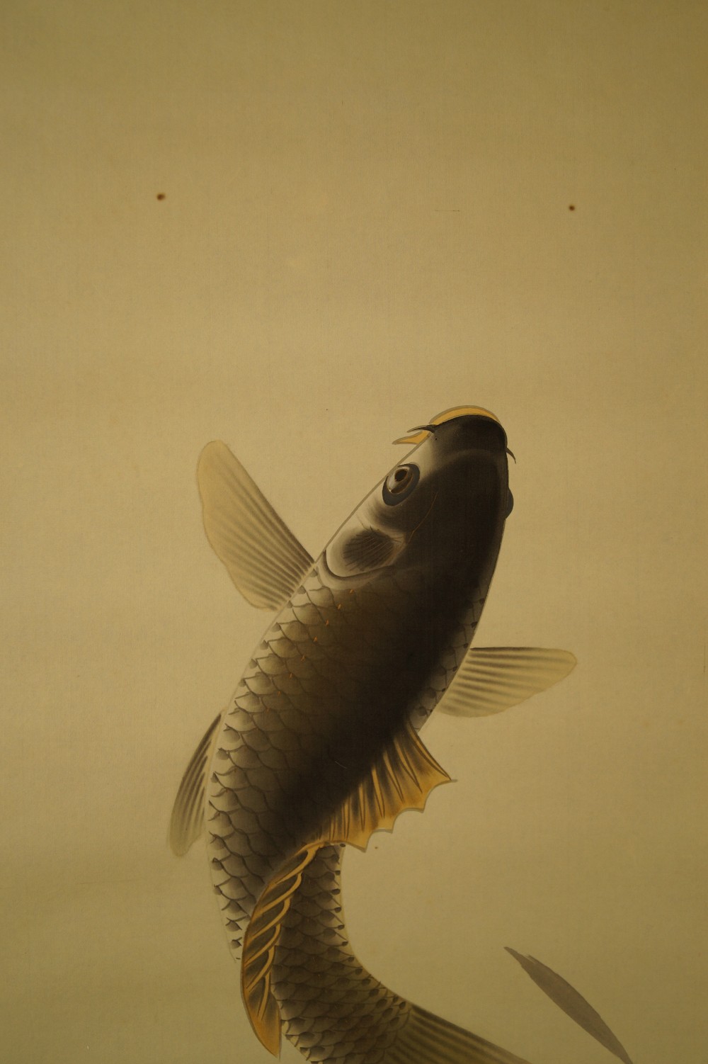 Leaping Koi Hanging Scroll Koi Motif Close-Up 1