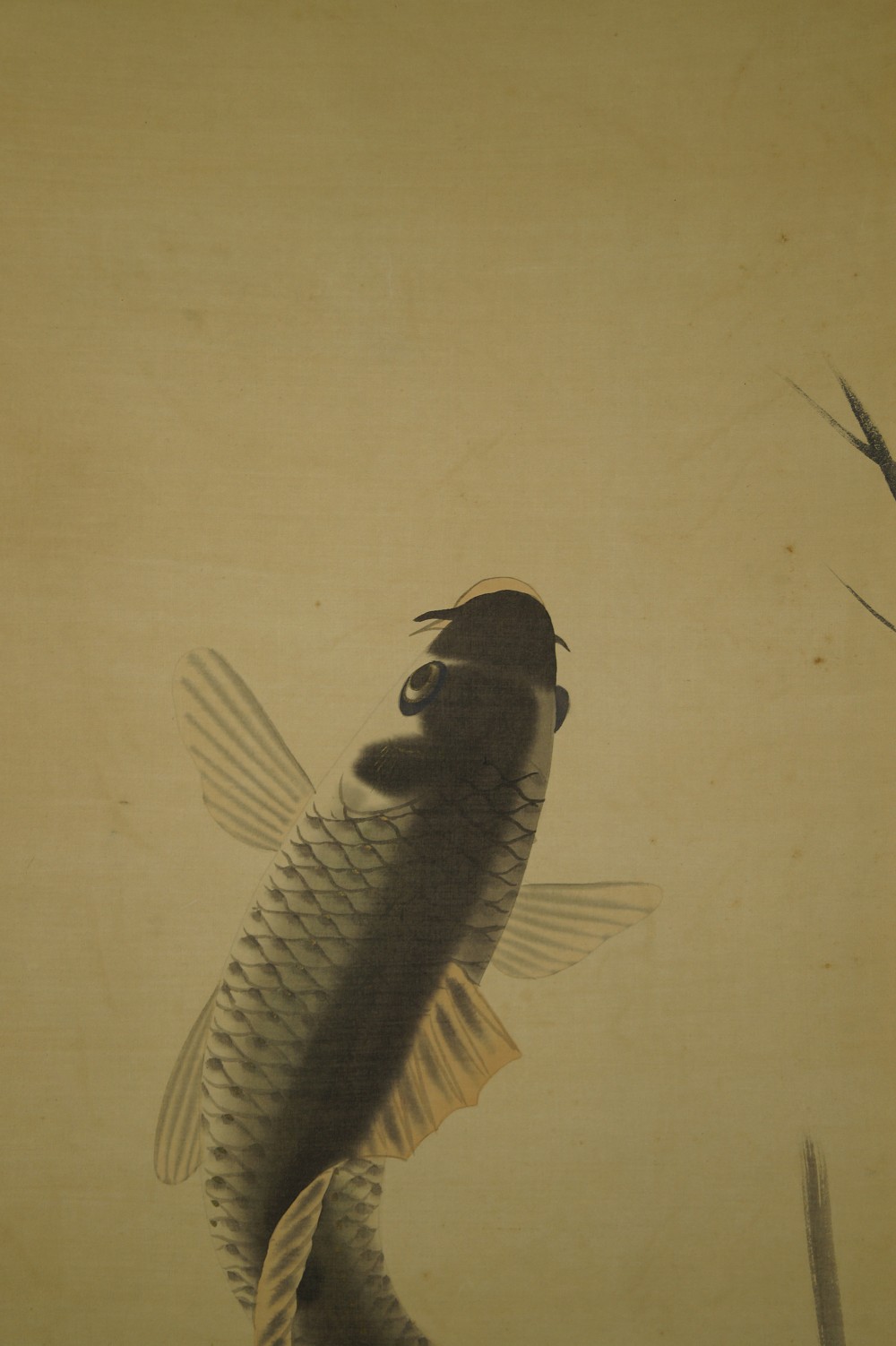Koi Hanging Scroll Koi Motif Close-Up 1
