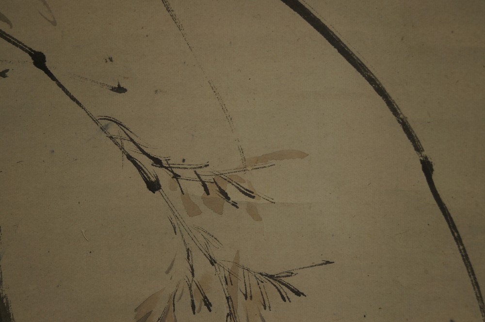 Brushwork Close-Up Pine Needles