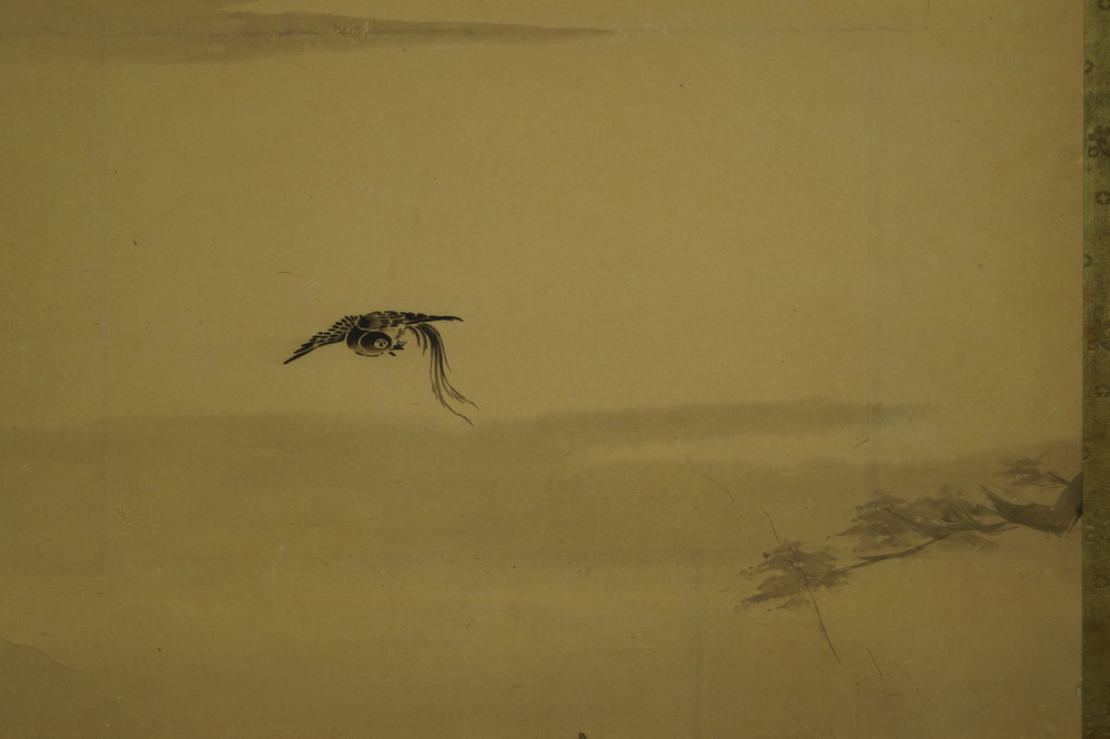 The Man and the Bird Bird Close-Up 2