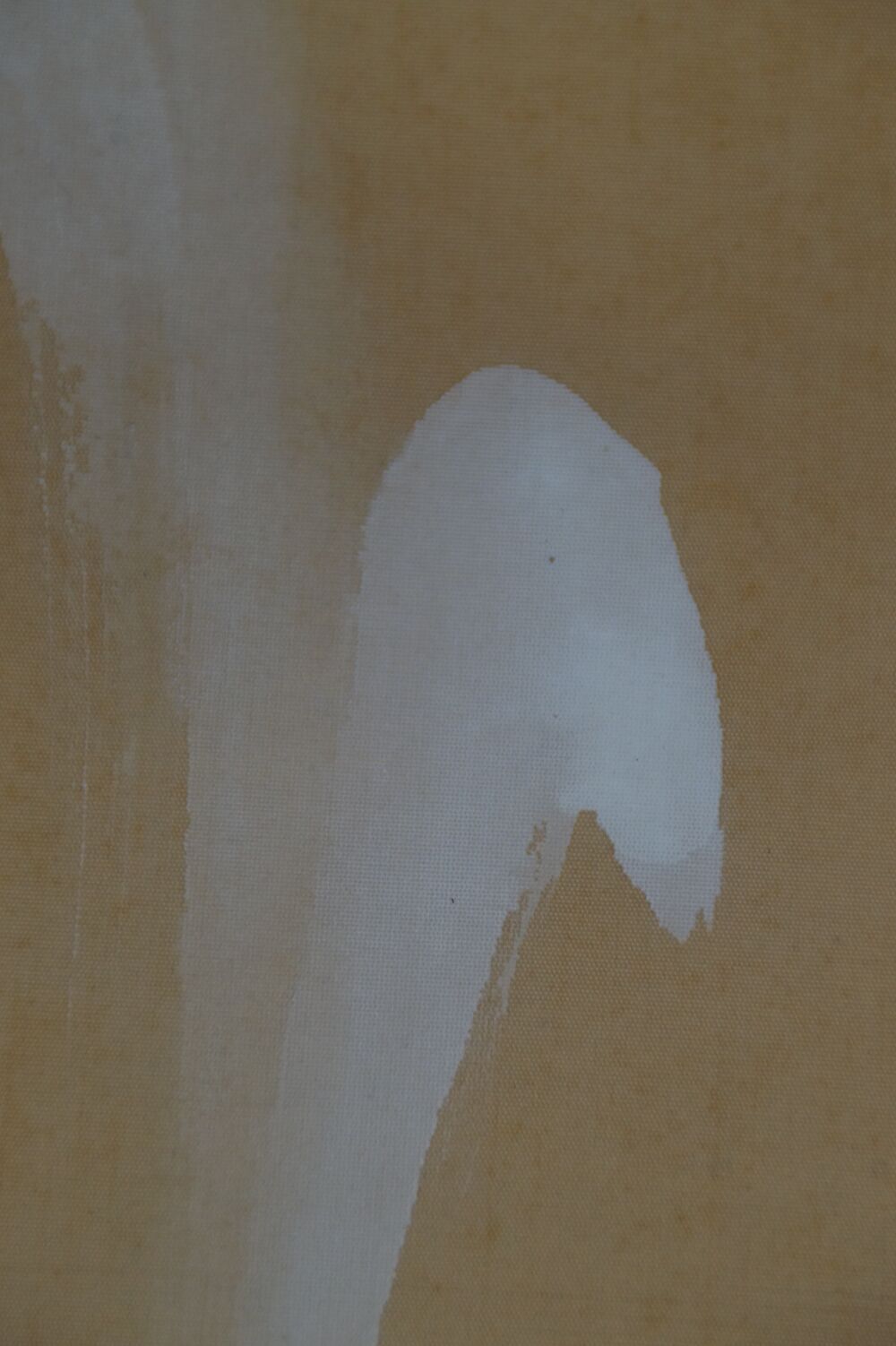 Close-up of the painted water splashes in the Kakemono Ascending Carp