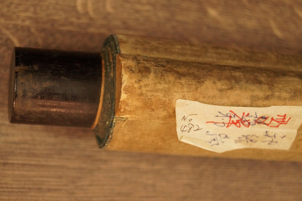 Wald Rollendetail 2