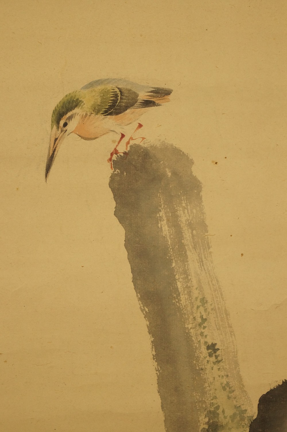 Kingfisher with green plumage and pink breast in profile Kingfisher Motif Close-Up 1