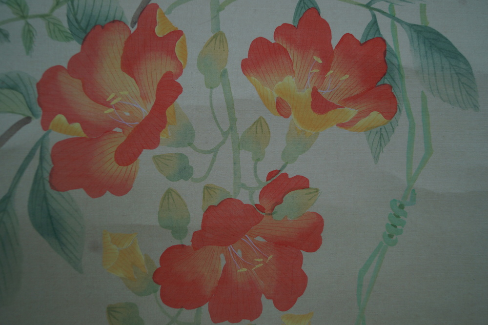 Flowers Blossoms Close-Up 3