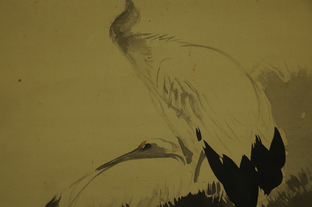 Close-up of the two cranes with strong black tail feathers