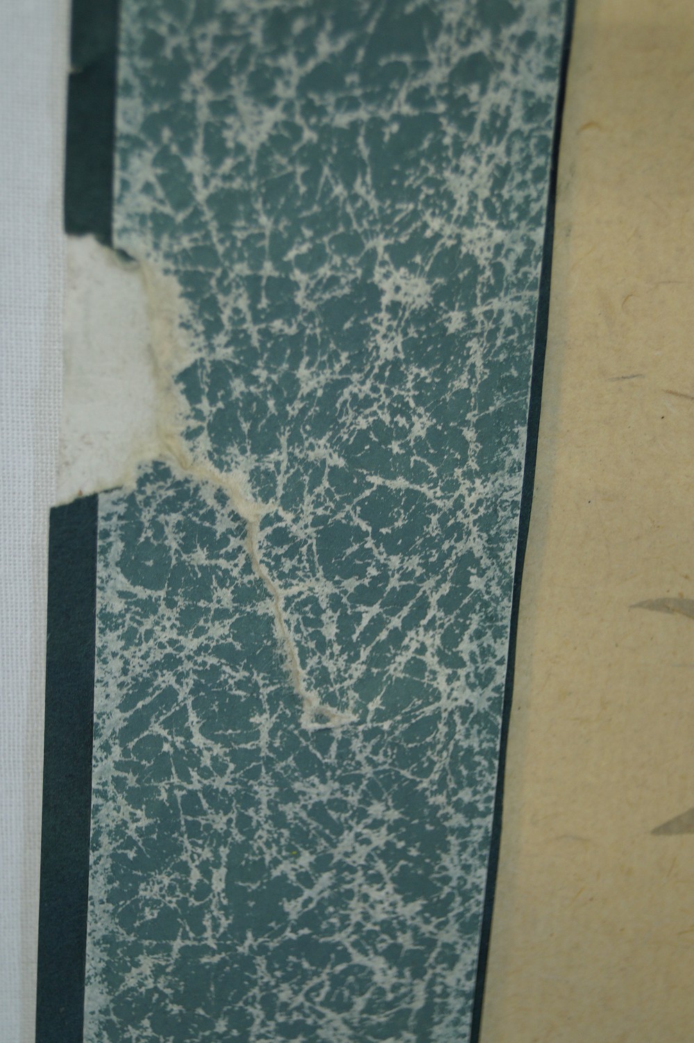 Chrysanthemum hanging scroll mounting detail 2