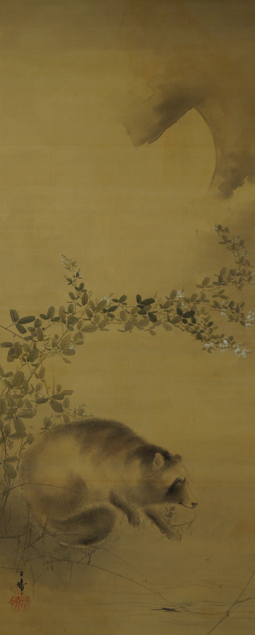 Kakemono Raccoon Full Motif without Mounting