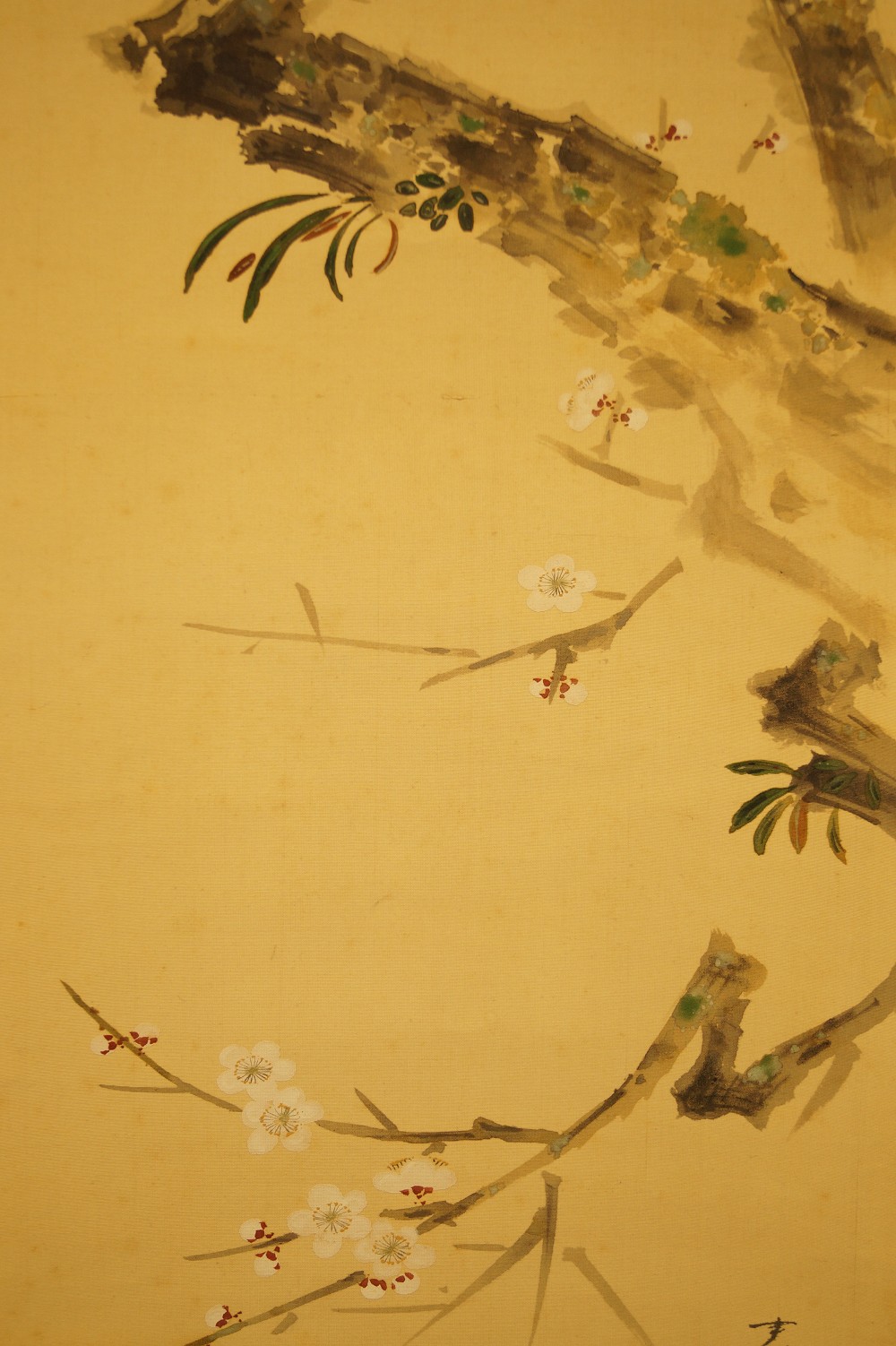 Bird on a Cherry Tree Branch by Yasuyama Tachiwaki Plum Branch Close-Up
