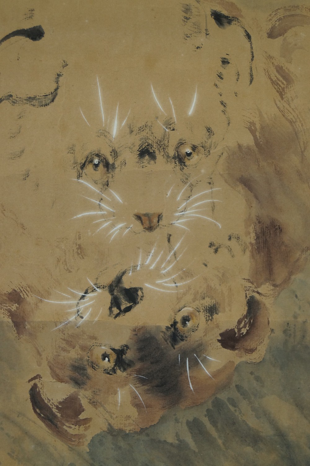 Puppies in the Grass Kakemono Puppy Faces Motif Close-up