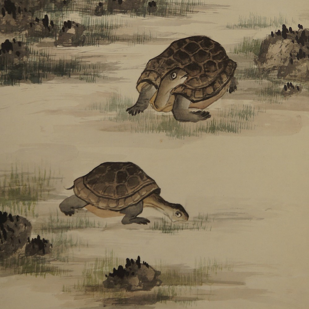 Two Turtles by Shogetsu Motif Close-Up Preview