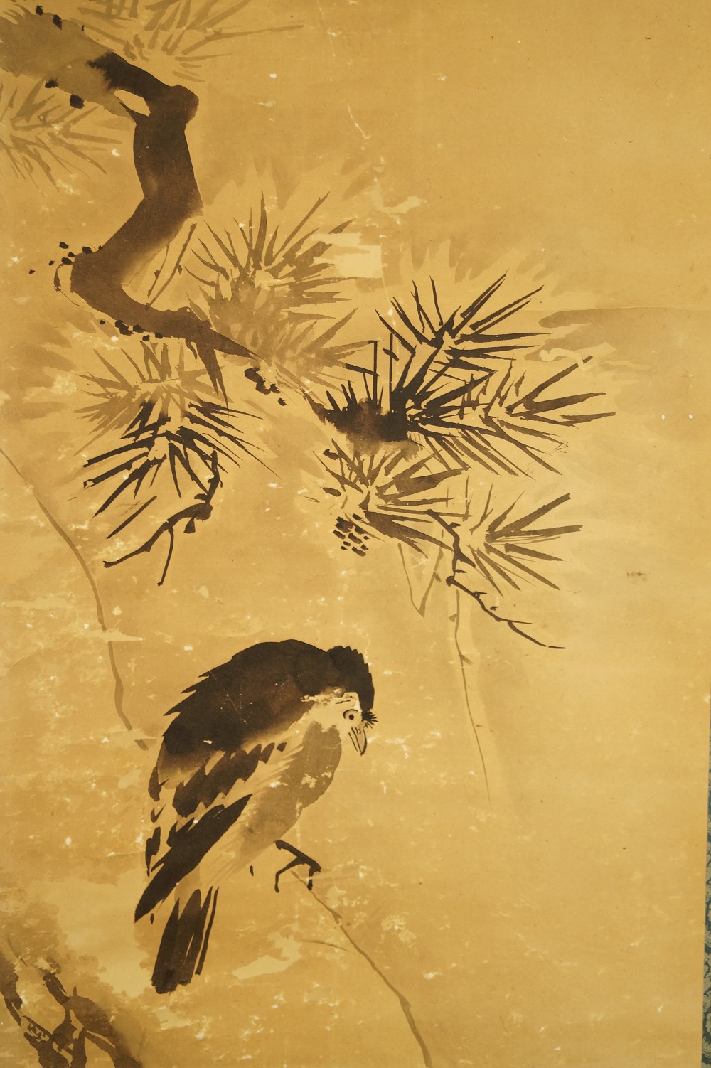 Vogel auf einer Kiefer - Japanisches Rollgemälde (Kakejiku, Kakemono) Tanaka Koga