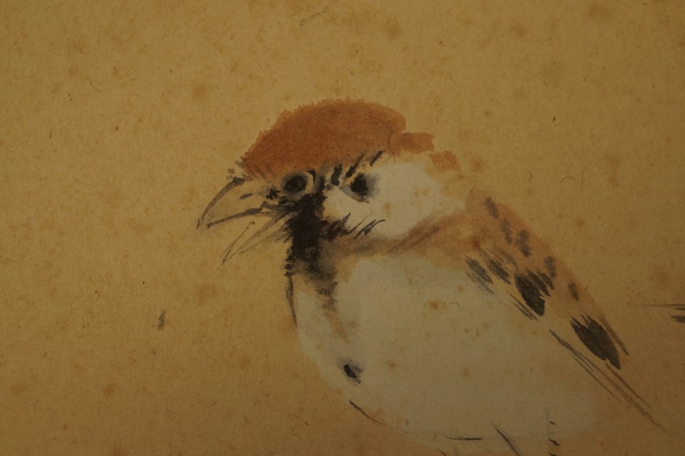 Shikishi Zwei Spatzen Spatz-Motiv Nahaufnahme 2