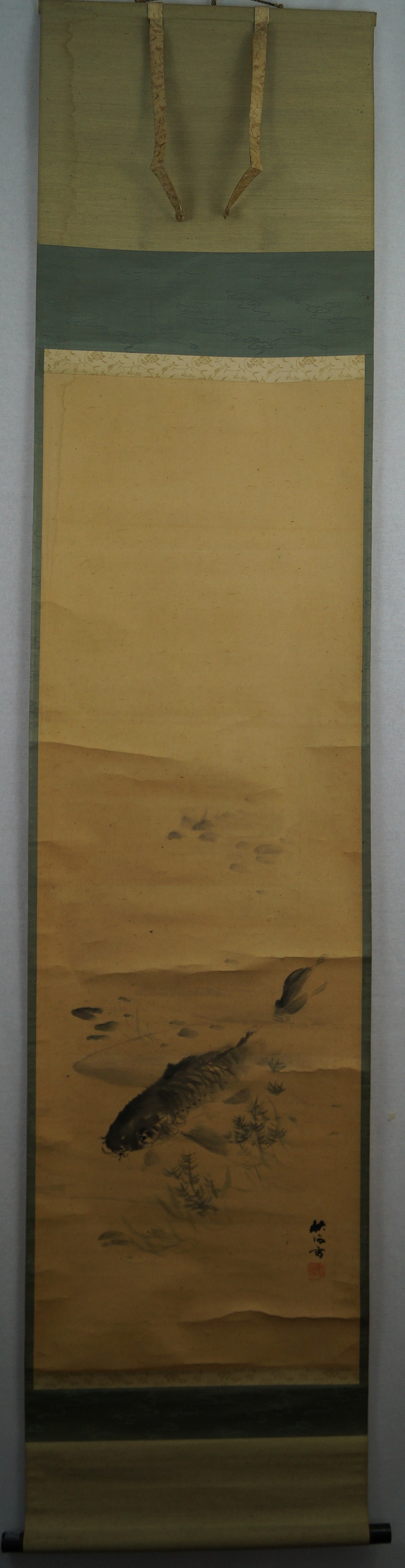 Koi in water overall view hanging scroll