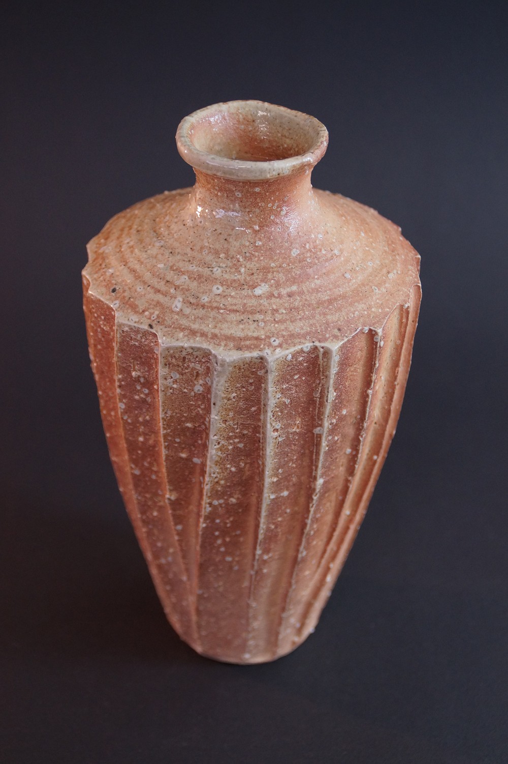 Shigaraki Ware Vase by Takahashi Rakusai Back View