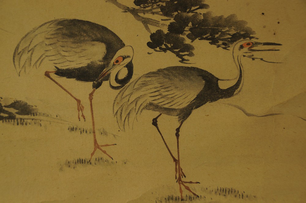 Additional Close-Up of the Two Cranes in Front of Pines and Rocks