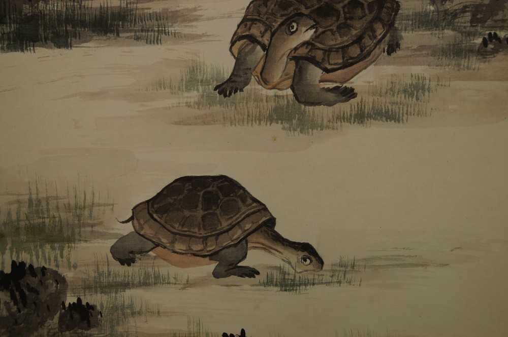 Two Turtles by Shogetsu Motif Close-Up 2