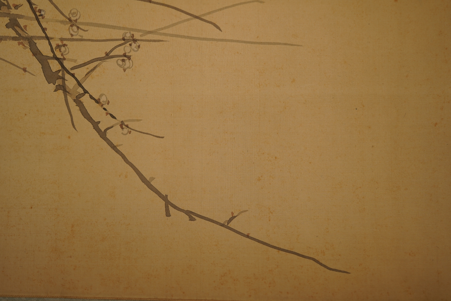 Further Close-Up of the Plum Branches in the Hanging Scroll Songbird on Blossoming Plum Tree