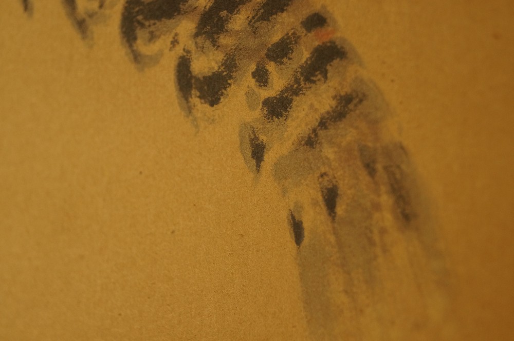 Two crayfish brushwork close-up 2