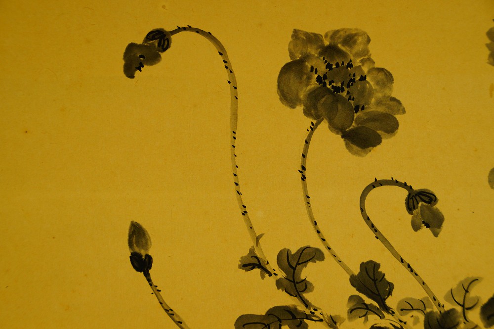Close-up of several blossoms on curved, dotted stems