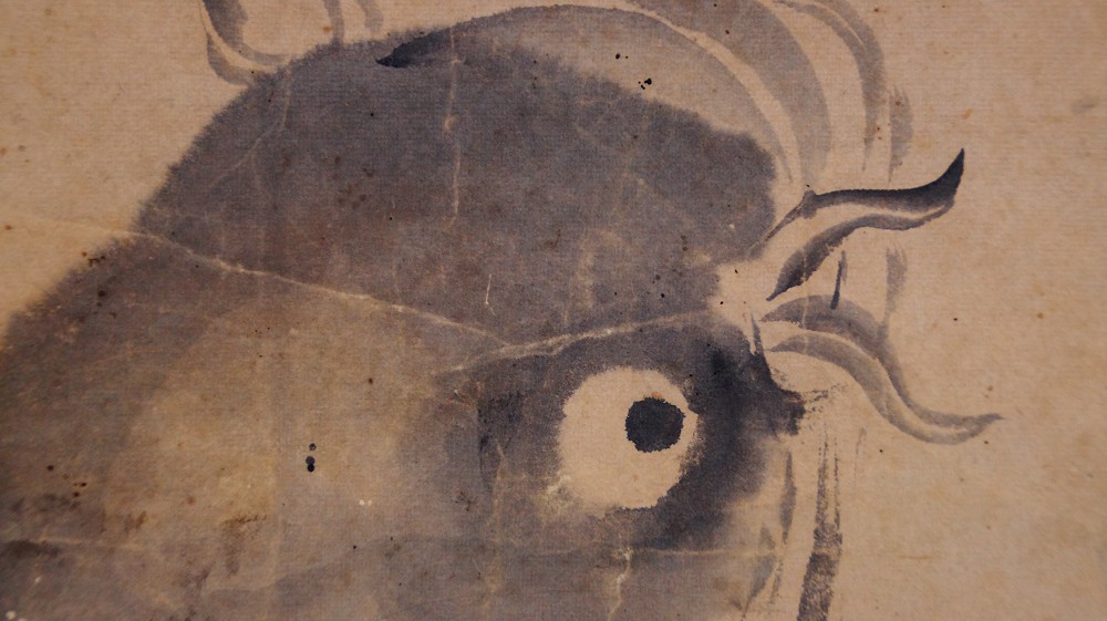 Extreme Close-Up of the Carp's Eye in Ink Painting