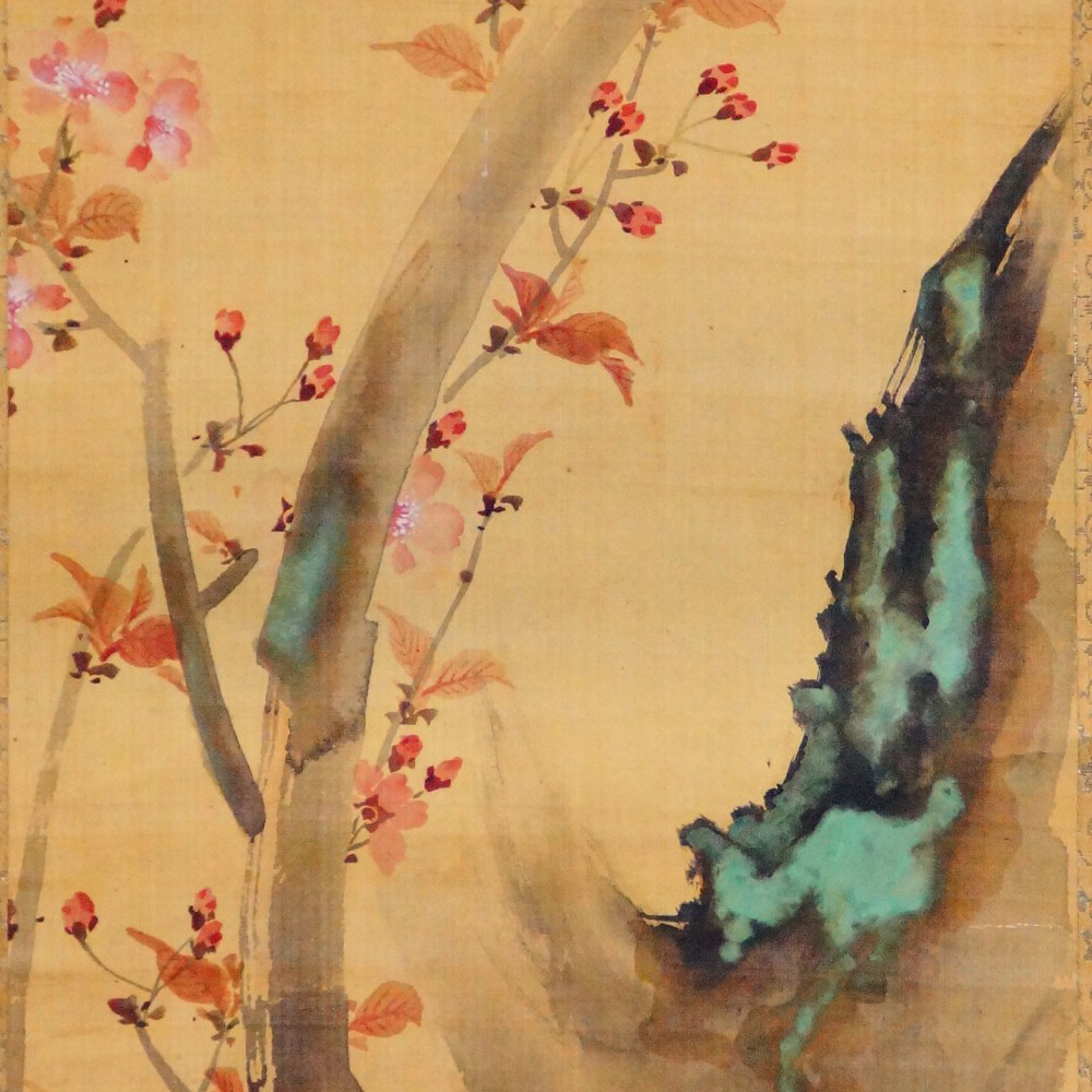 Blossoming Cherry Branches on a Rock Kakemono by Sakai Hoitsu Motif Close-Up Preview