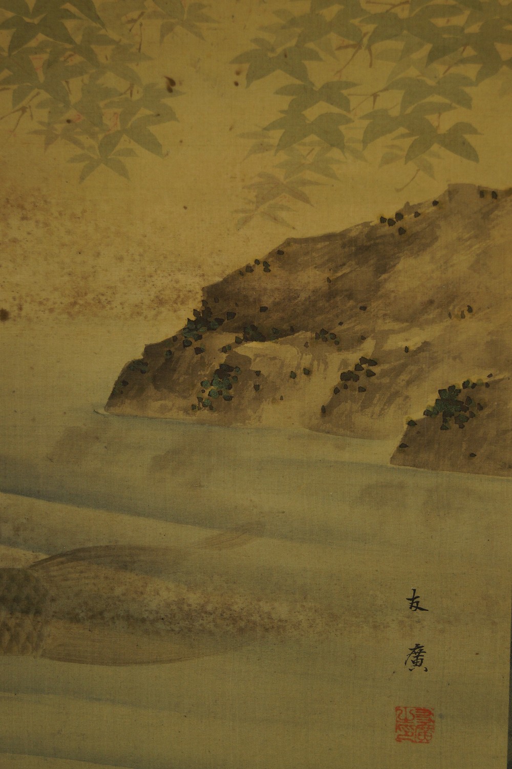 Carp in water landscape close-up