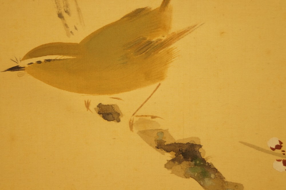 Bird on a cherry tree branch by Yasuyama Tachiwaki bird close-up 3