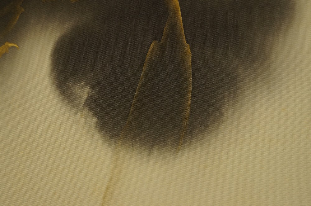 Japanisches Rollbild Drache und Fuji Berg von Kashu Iguchi Drache Motiv Nahaufnahme 3