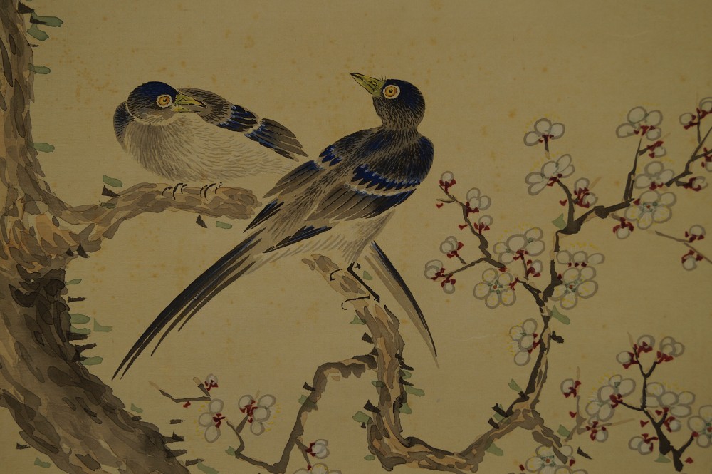 Sakura pair of birds close-up 1