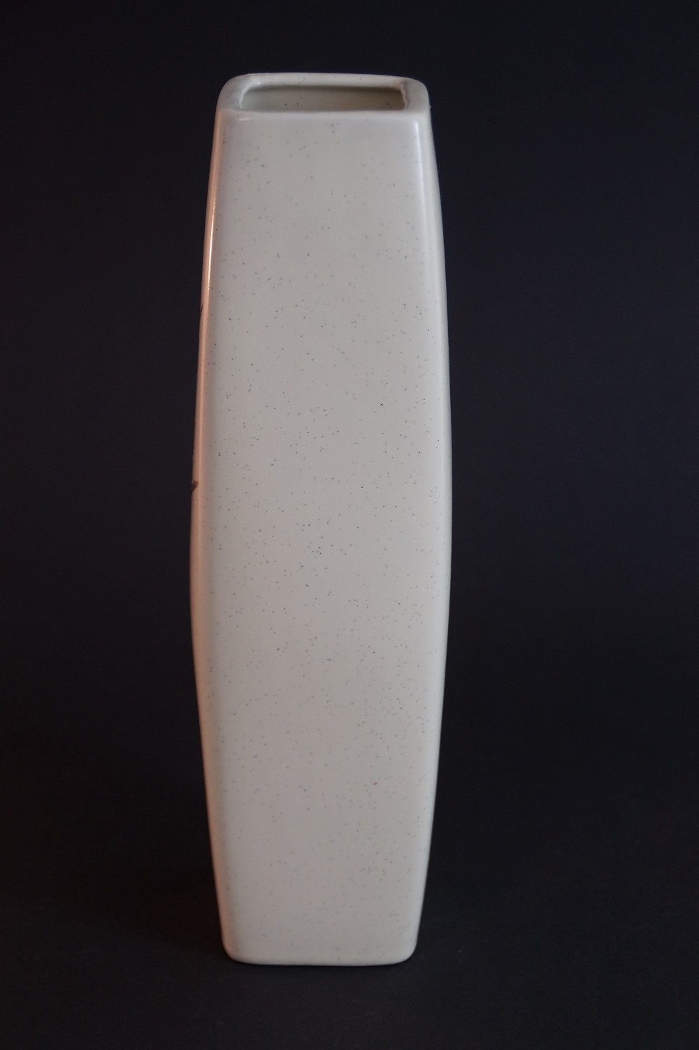 Kutani Vase with Plum Blossom Motif Back View