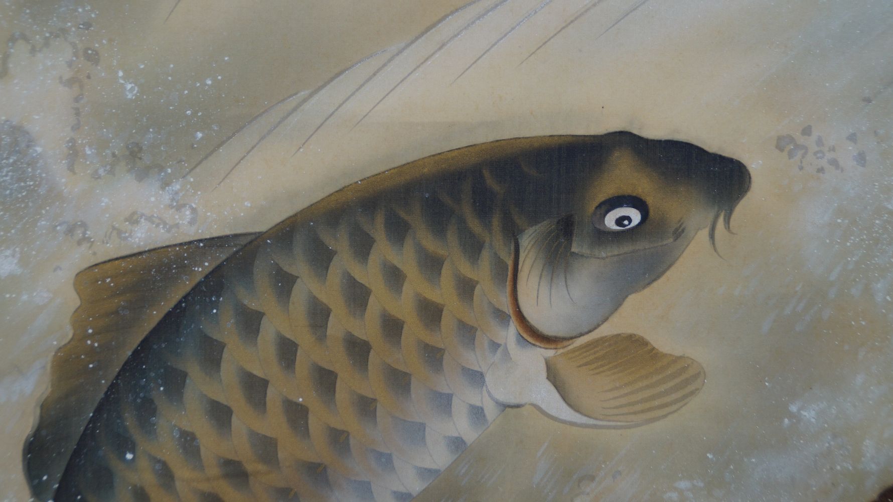 Close-up of the carp's head with barbels in the hanging scroll Carp in Turbulent Waterfall