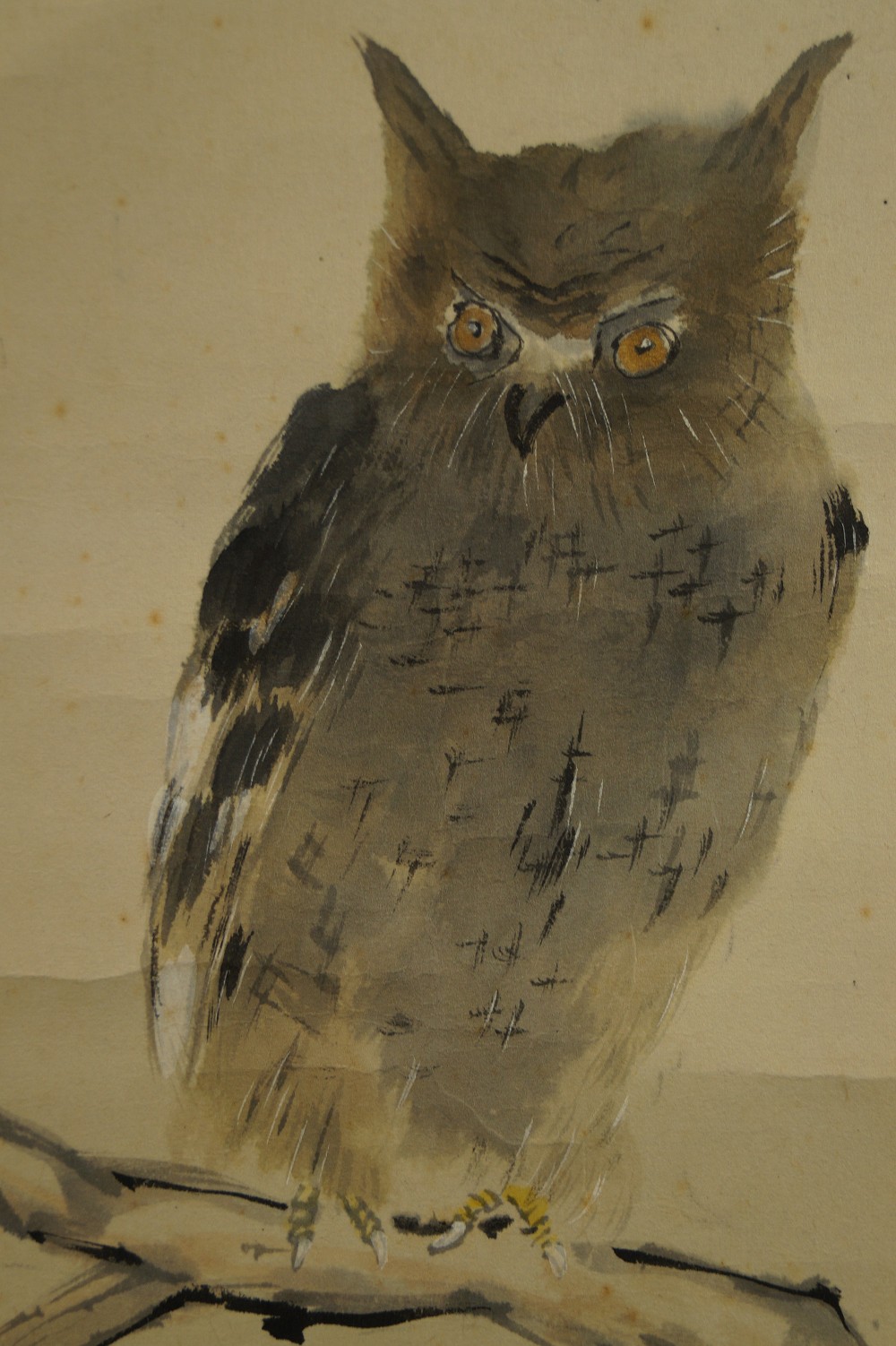 Owl Motif Close-Up