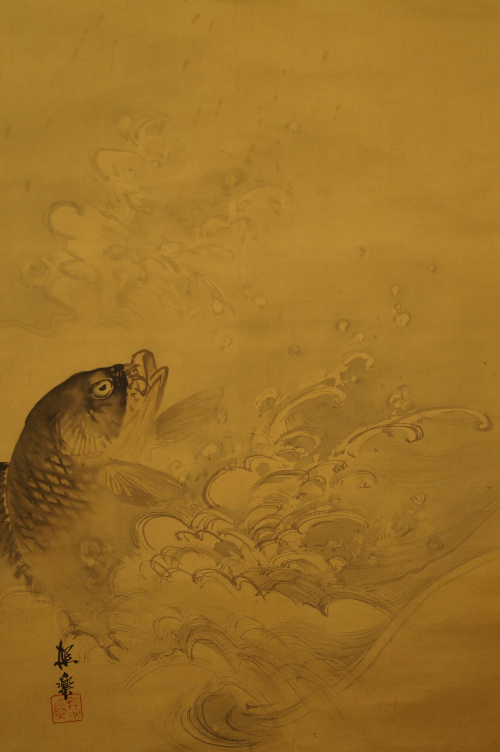 Two kois koi close-up 3