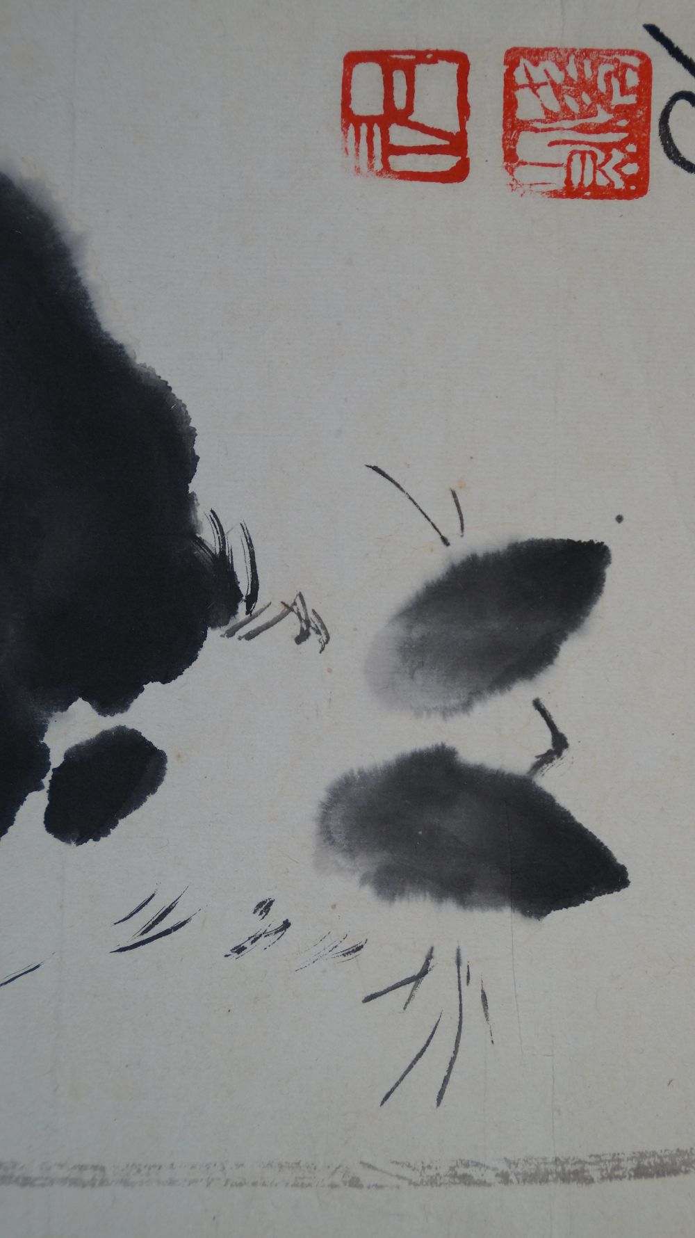 Close-up of the two red artist's seals above the ears of the black cat
