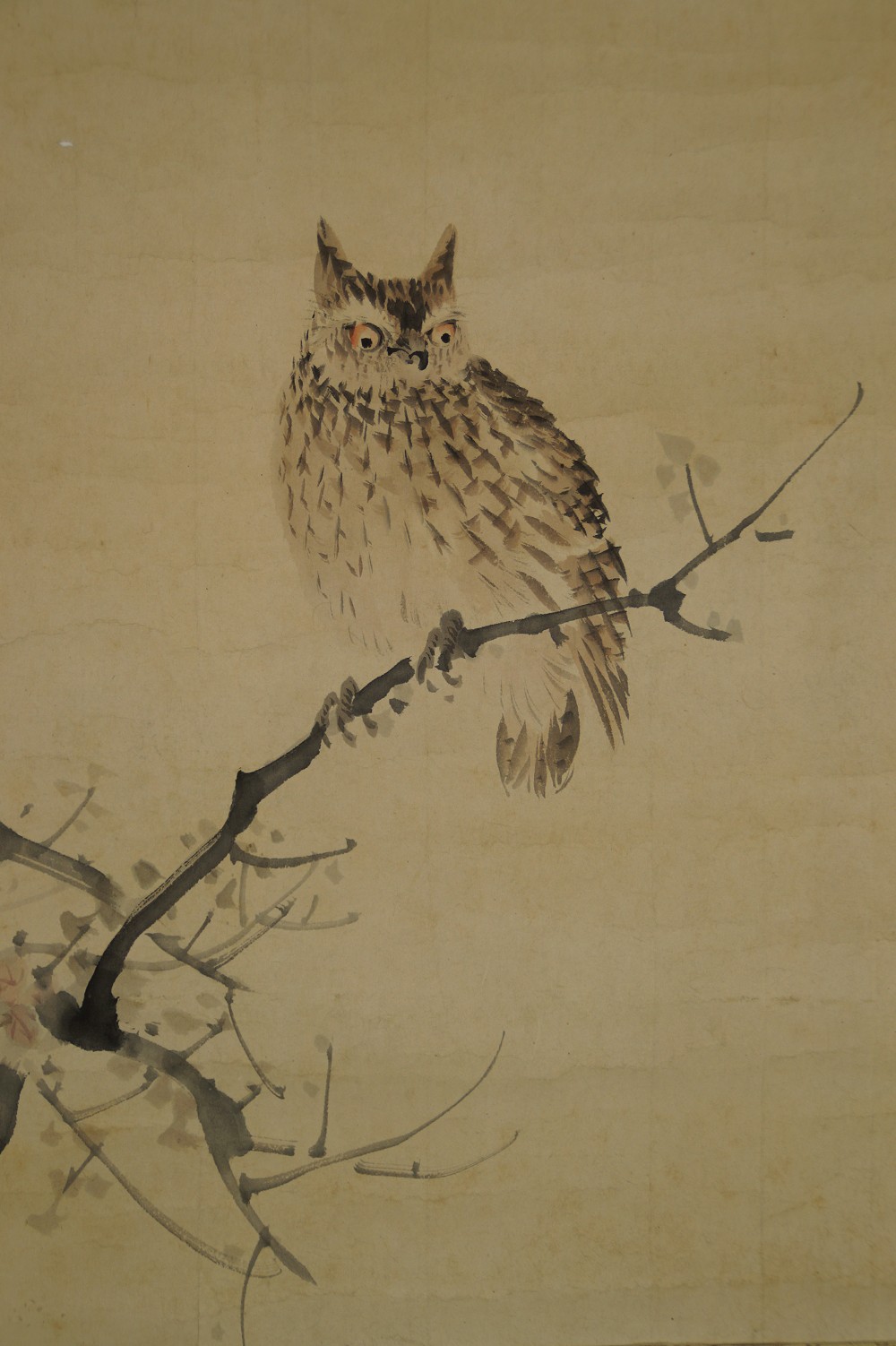Eule im Herbst von Yurin Ishikawa Eule-Motiv Nahaufnahme