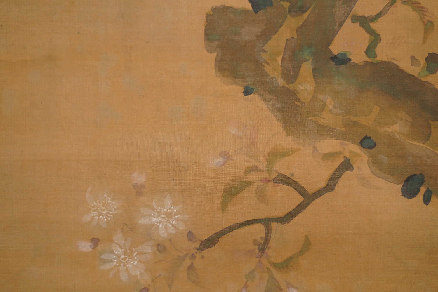 Close-up of the cherry blossom branch with white blossoms in the hanging scroll Songbird on Blooming Cherry Branch