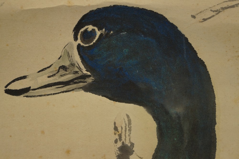 Two ducks in grass hanging scroll duck motif close-up 4
