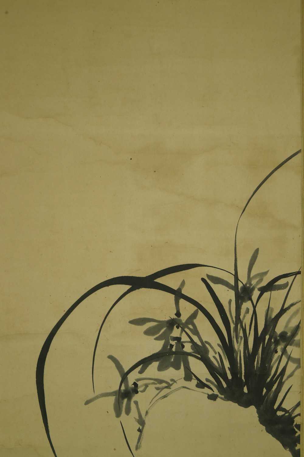 Grasses hanging scroll grasses motif close-up 1