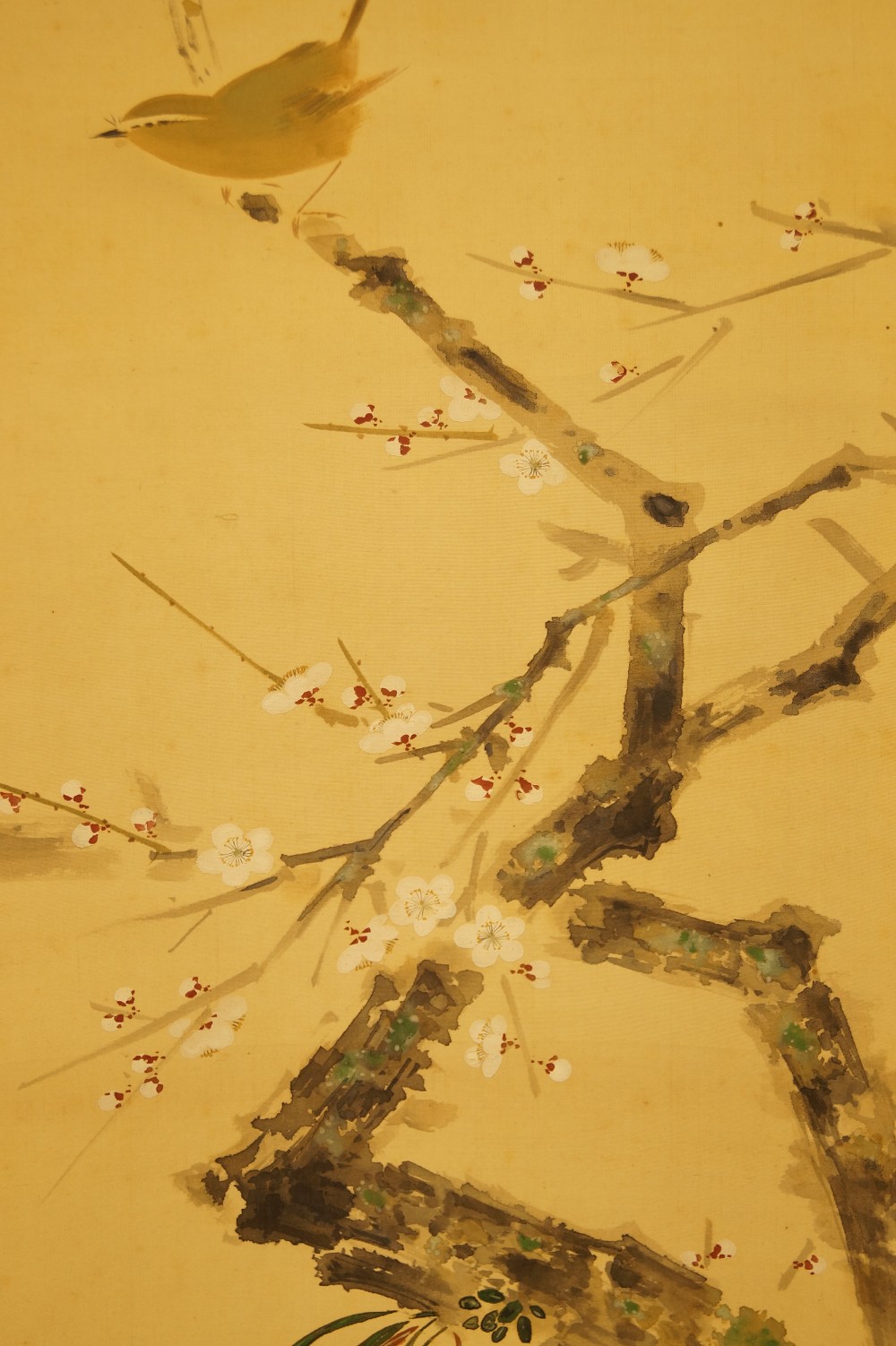 Bird on a Cherry Tree Branch by Yasuyama Tachiwaki Bird Close-Up 2