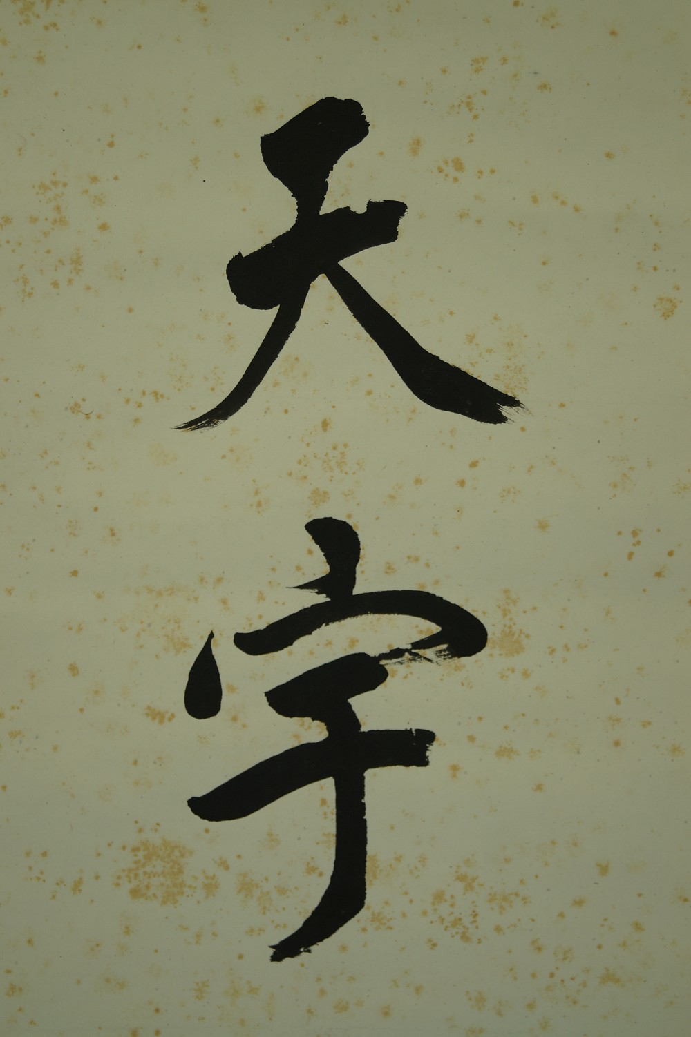 Kakemono Kalligrafie Kalligrafie Nahaufnahme 3