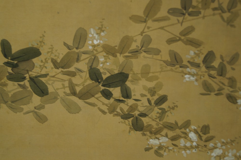Kakemono Raccoon Dog Hagi Ware Motif Close-Up