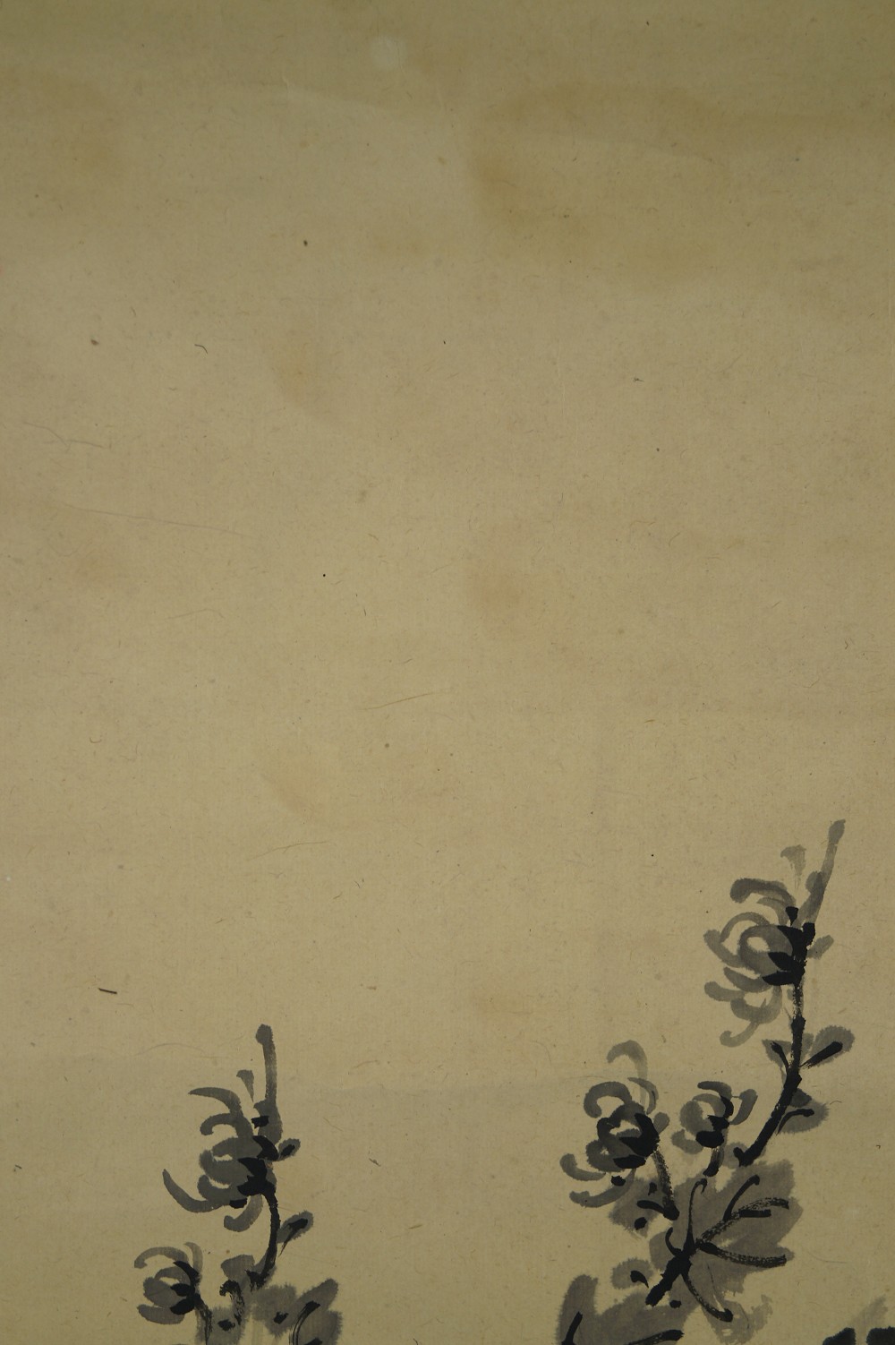 Chrysanthemum Hanging Scroll Chrysanthemum Motif Close-Up 1